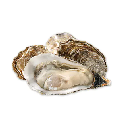 Korea Oyster L - 120 pieces