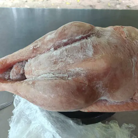Fresh Whole Turkeys 2025