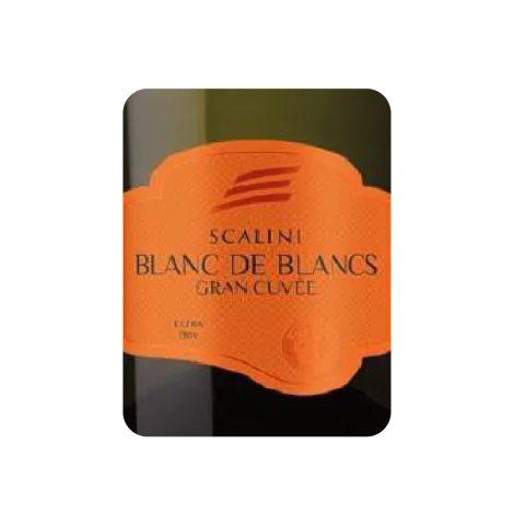 SCALINI Blanc de Blancs Gran Cuvee Extra Dry Italy