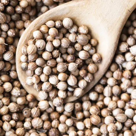Coriander seeds, 20g - SR