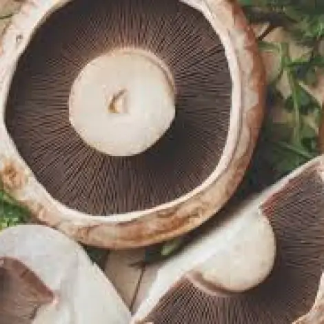 Portobello Mushrooms - 500g Packs